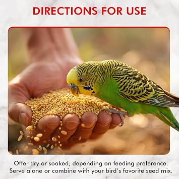 Morning Bird Hulled Millet 1.5 lbs Nutritious Hulled Millet Seed - Waste Free - No Mess - Easily Digestible with High Fiber, Rich in Vitamins & Minerals for Birds, Ideal Bird Feed for All Bird Types