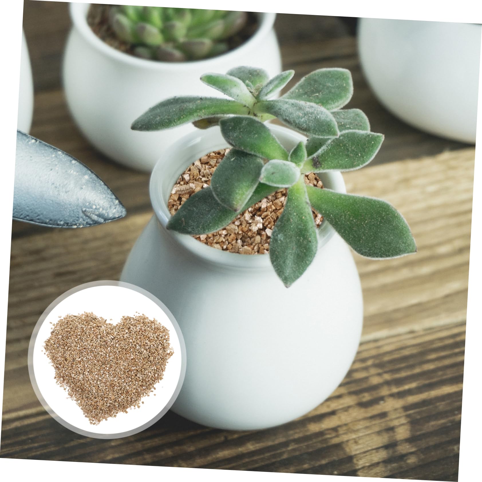 Abaodam Vermiculita para Jardinería pH Equilibrado, Capacidad 3L, Alta Retención de Agua y Uso Versátil para Cultivo de Hongos y Mascotas de Terrario en Interiores