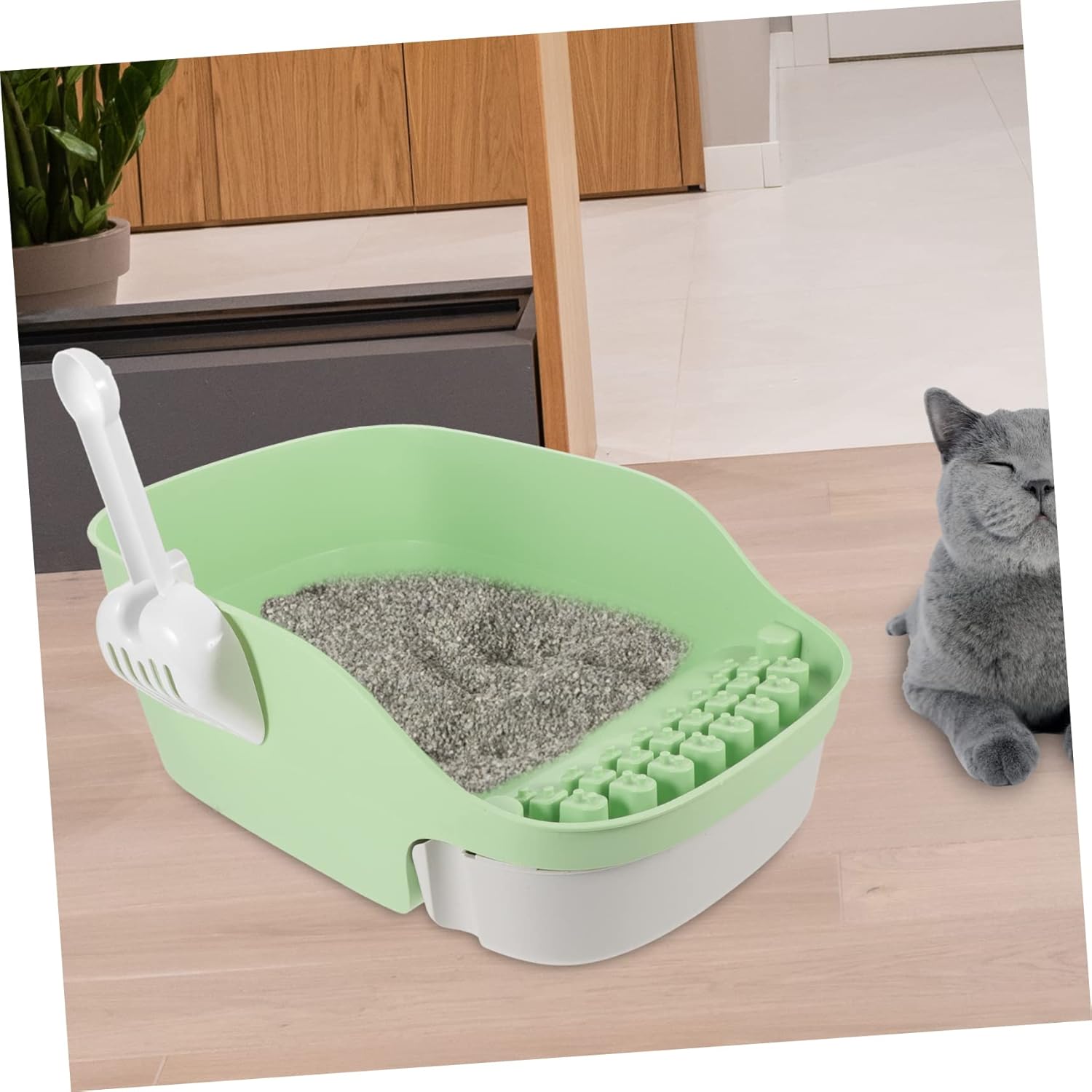 BESPORTBLE 1set Cat Litter Box for Kittens with High Sides to Prevent Spills Open Design for Easy Access Material for Cats and Dogs Avocado