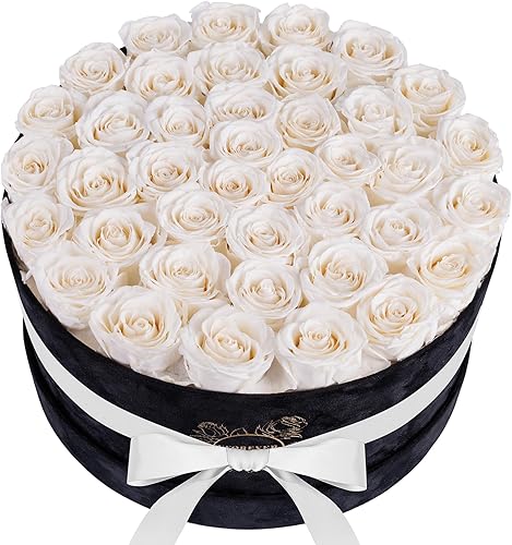 UFOREVER ROSES Rosas preservadas de lujo en caja de gamuza, regalos de rosas florales para mujeres, flores para el día de San Valentín, rosas para
