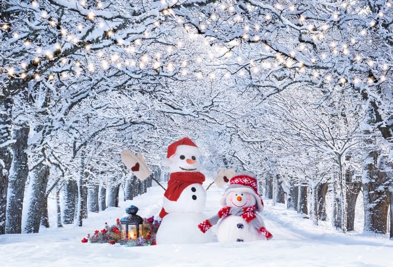 Weihnachts-Fotohintergrund: 3x2,4 M Winter-Wunderland Mit Schneeflocken, Weihnachtsmann & Schneemann – Perfekt Für Fotos, Deko & Feiern