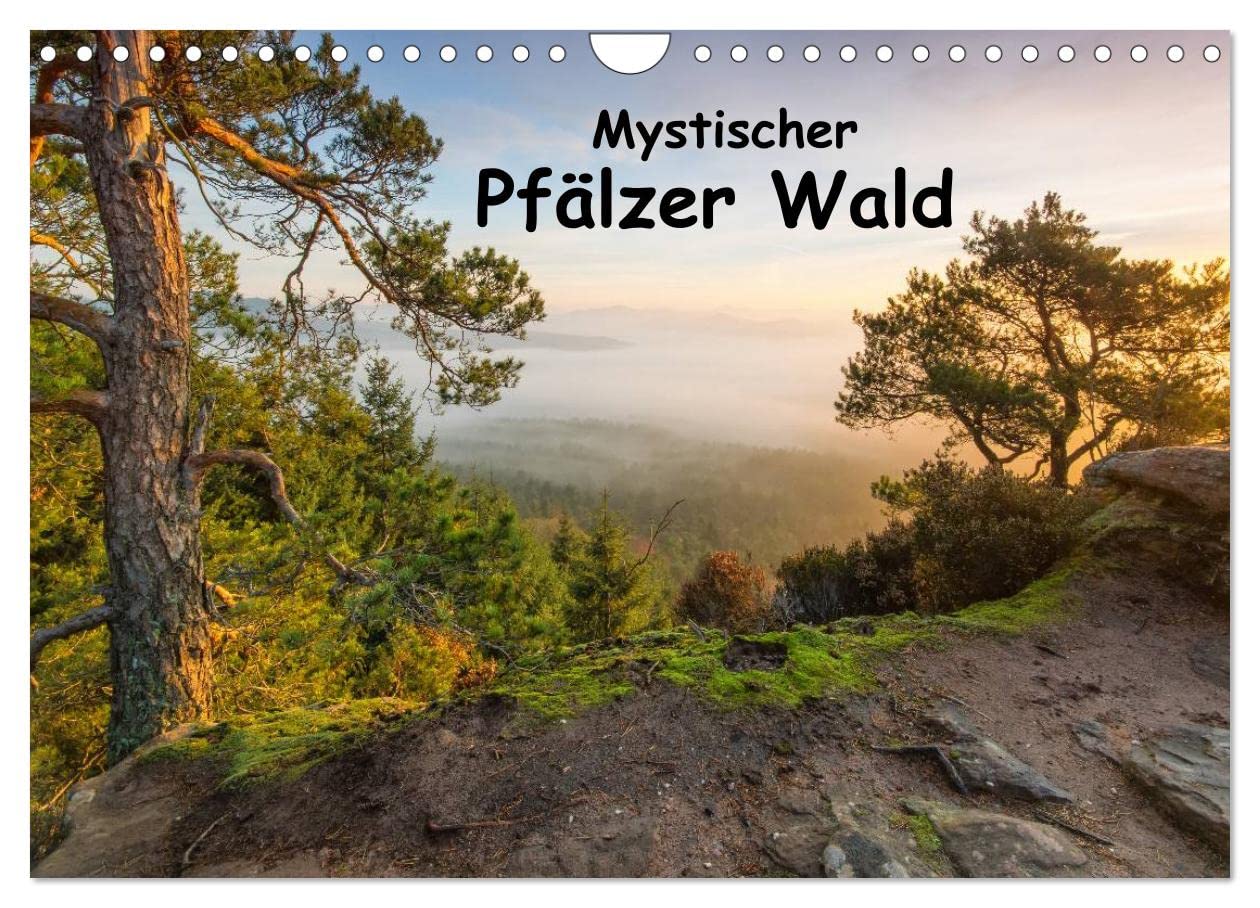 Kalender 2027 · Mystischer Pfälzer Wald | Der Pfälzer Wald im Licht · DIN A4 quer · CALVENDO Wandkalender