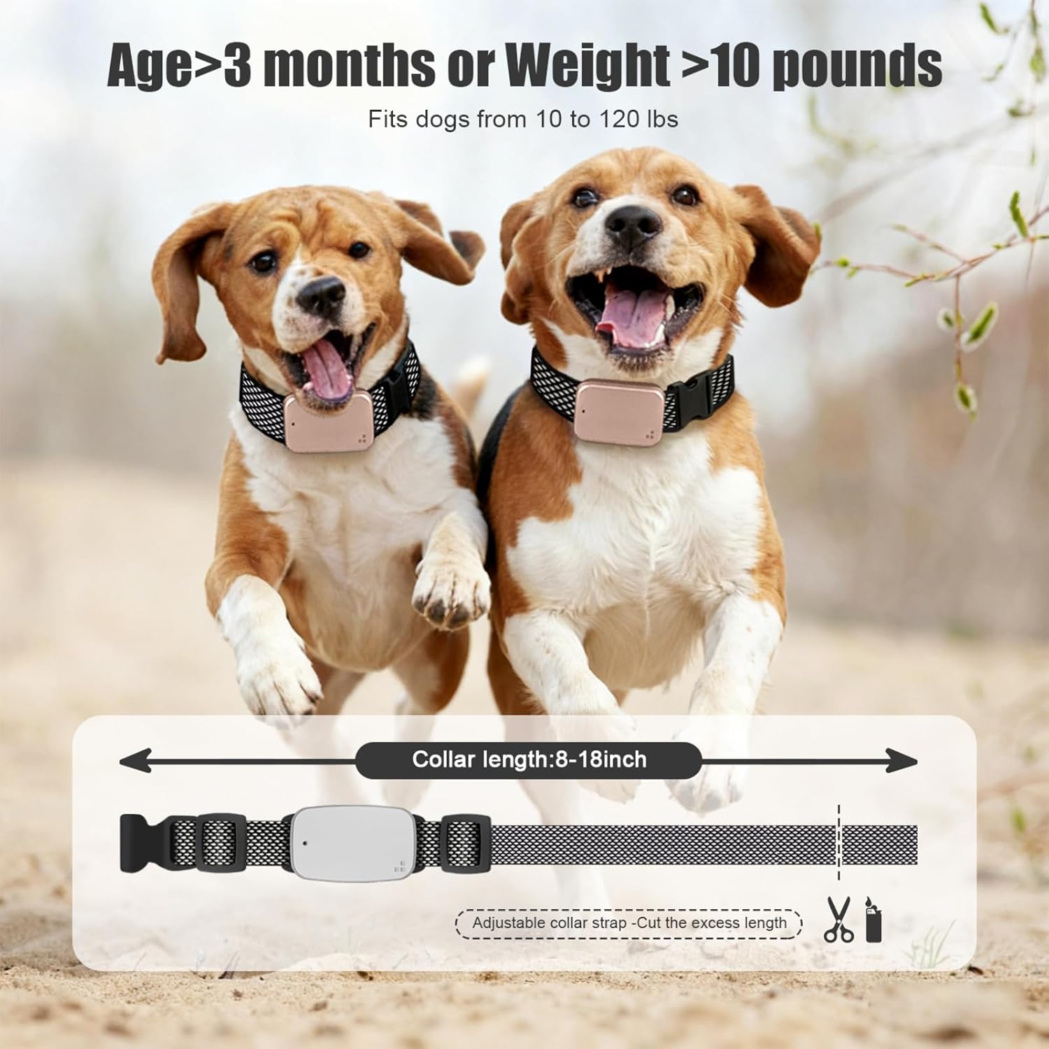 Dog Training E-Collar with Remote 3280FT,4 Modes Static Correction/Beep/Vibration/Light,IP67 Waterproof Rechargeable Behavior Control Collar for Small Medium Large DogsPink