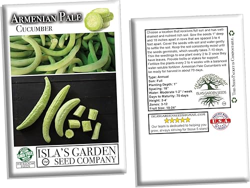 Miniatura 6 de Semillas de pepino verde pálido armenio para plantar, más de 100 semillas de reliquia por paquete, semillas de jardín de Isla (semillas de jardín de