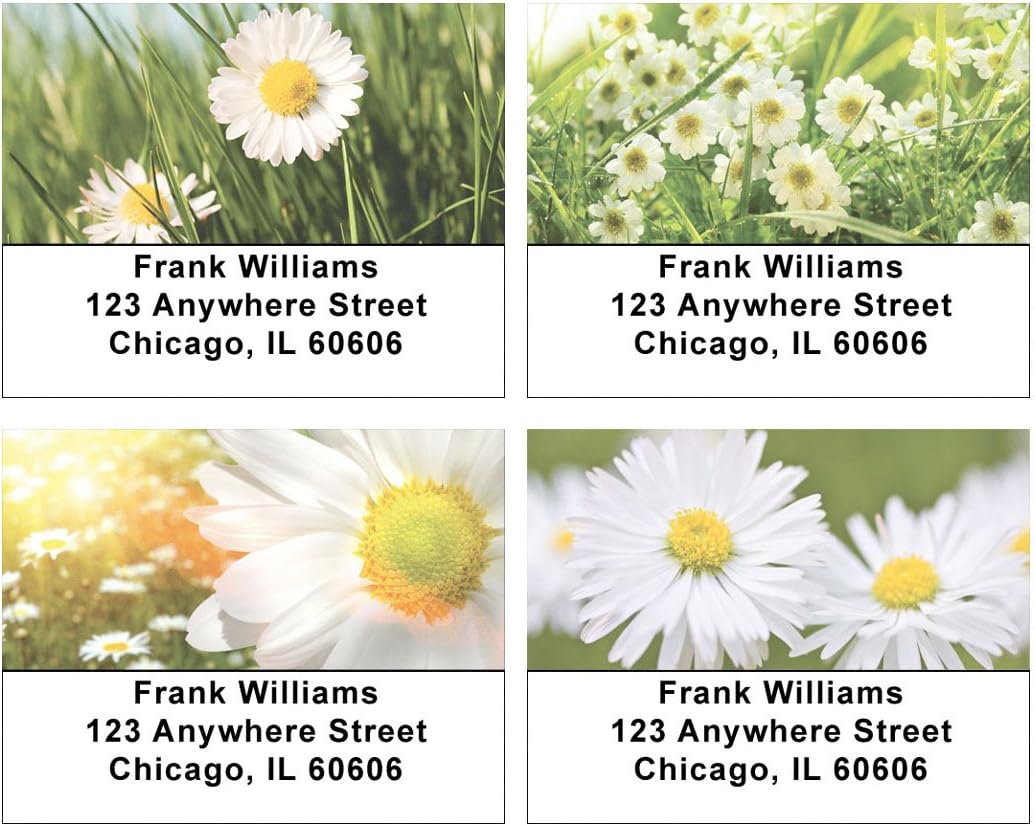 Daisies Address Labels