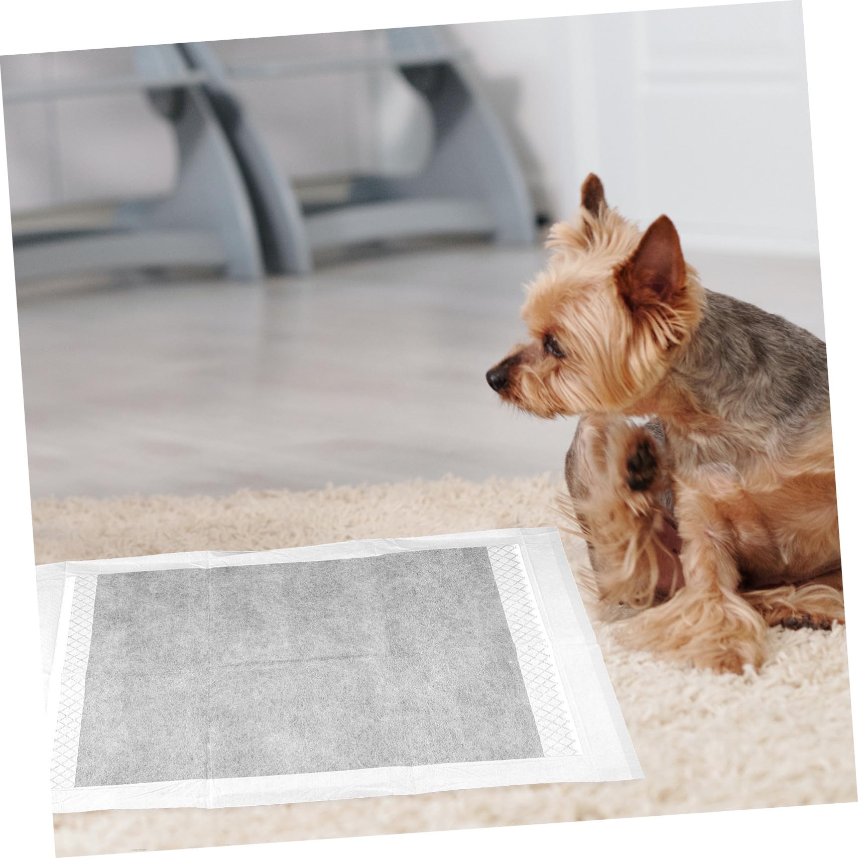 UPKOCH 100 Stück Welpen-PIPI-Pads Trainingspads für Hunde und Welpen Schutzmatten Welpenunterlagen Welpenzubehör Haustier-toiletten-Training Saugstark Flüssigkeitsdicht
