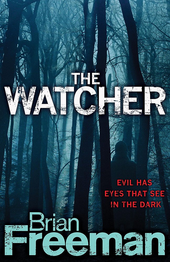 The Watcher by Brian Freeman (Hardcover, 2008)