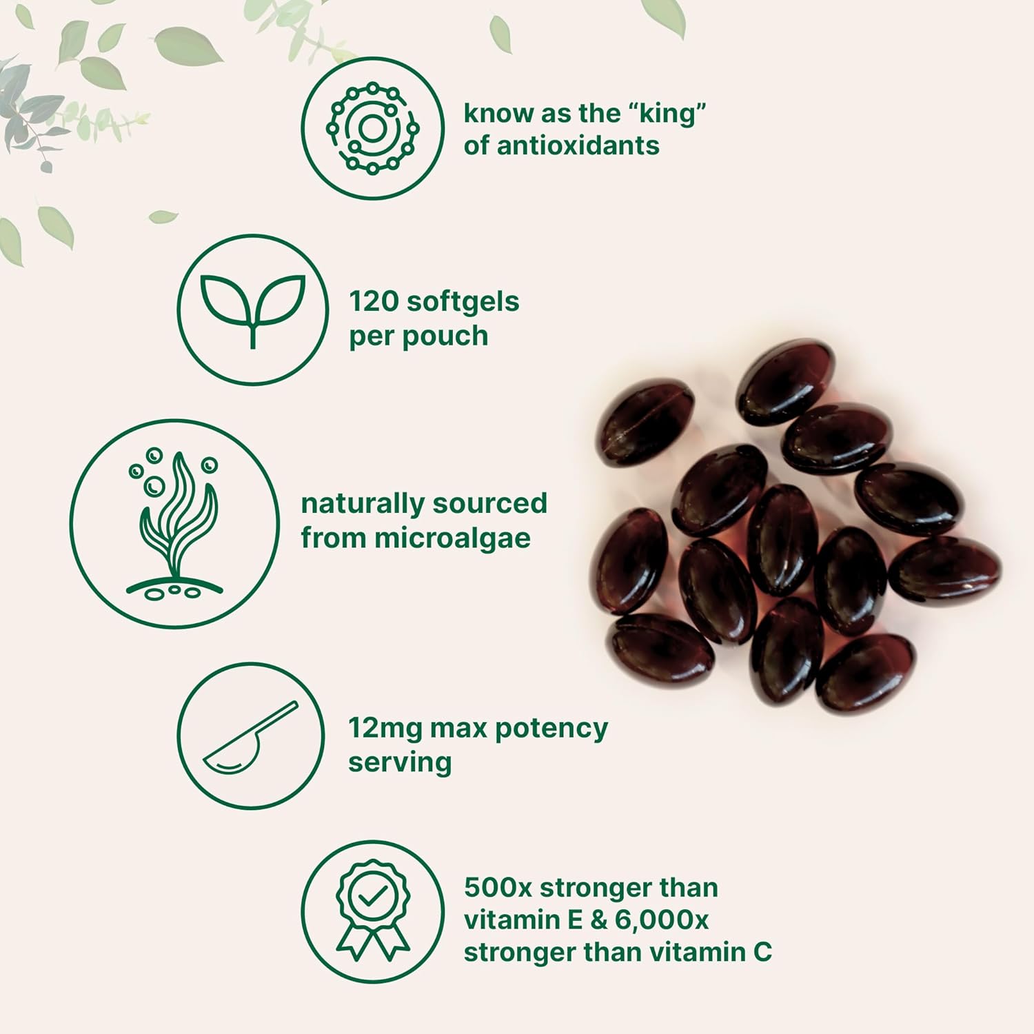 Micro Ingredients Astaxanthin 12mg with MCT Oil, 120 Softgels, 4 Month Supply | Premium Astaxanthin Antioxidant Supplements* | Fresh Microalgae Source | Triple Strength, Non-GMO, Gluten Free, No Soy - Image 4