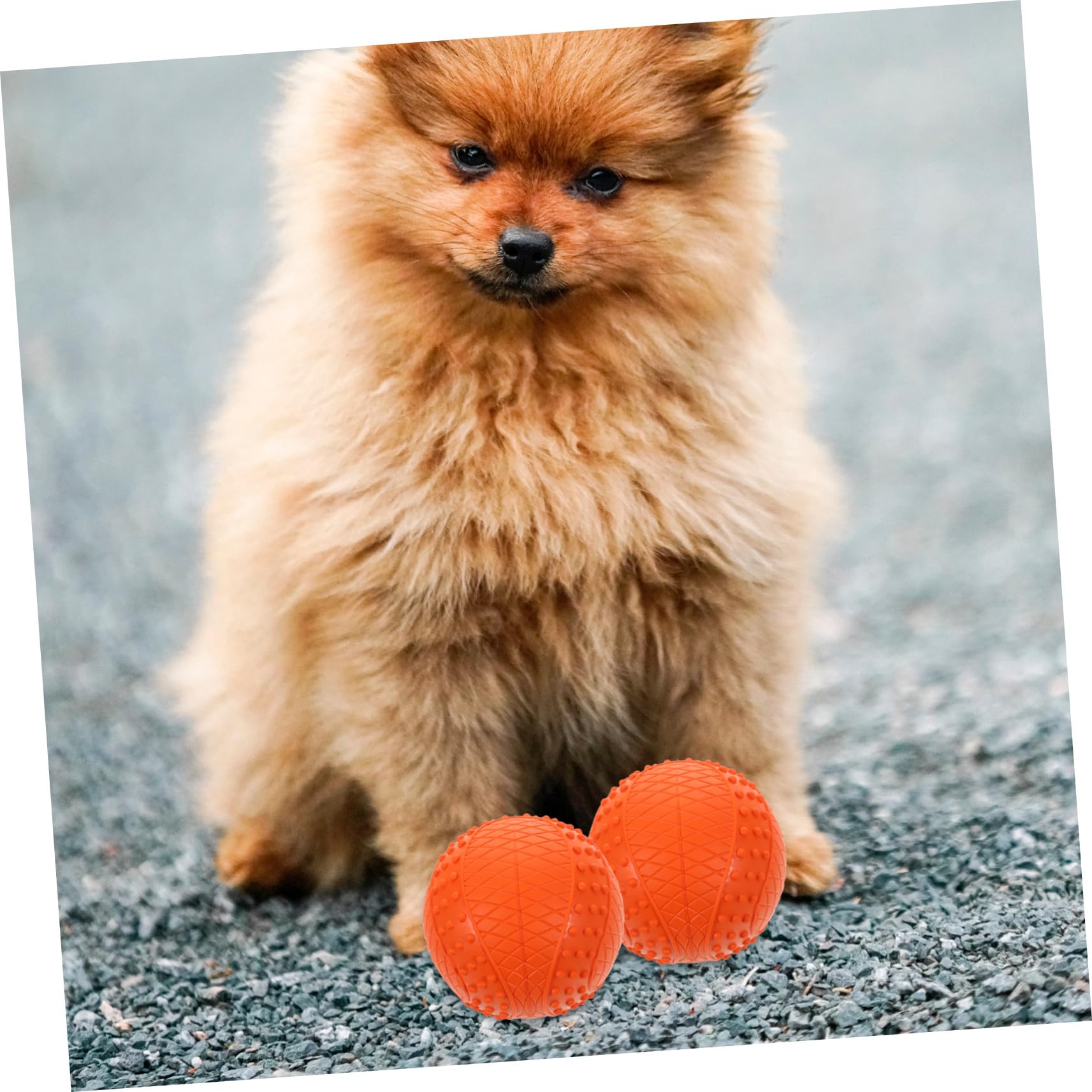 DECHOUS 4stücke Gummiball für Hund Welpenball zum Werfen und Apportieren Hundebälle als Kauspielzeug und Trainingsspielzeug Kleine Bälle für Hunde zum Spielen und Kaufen