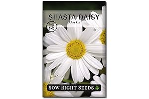 Premium Sow Right Seeds Shasta Daisy Seeds for Planting
