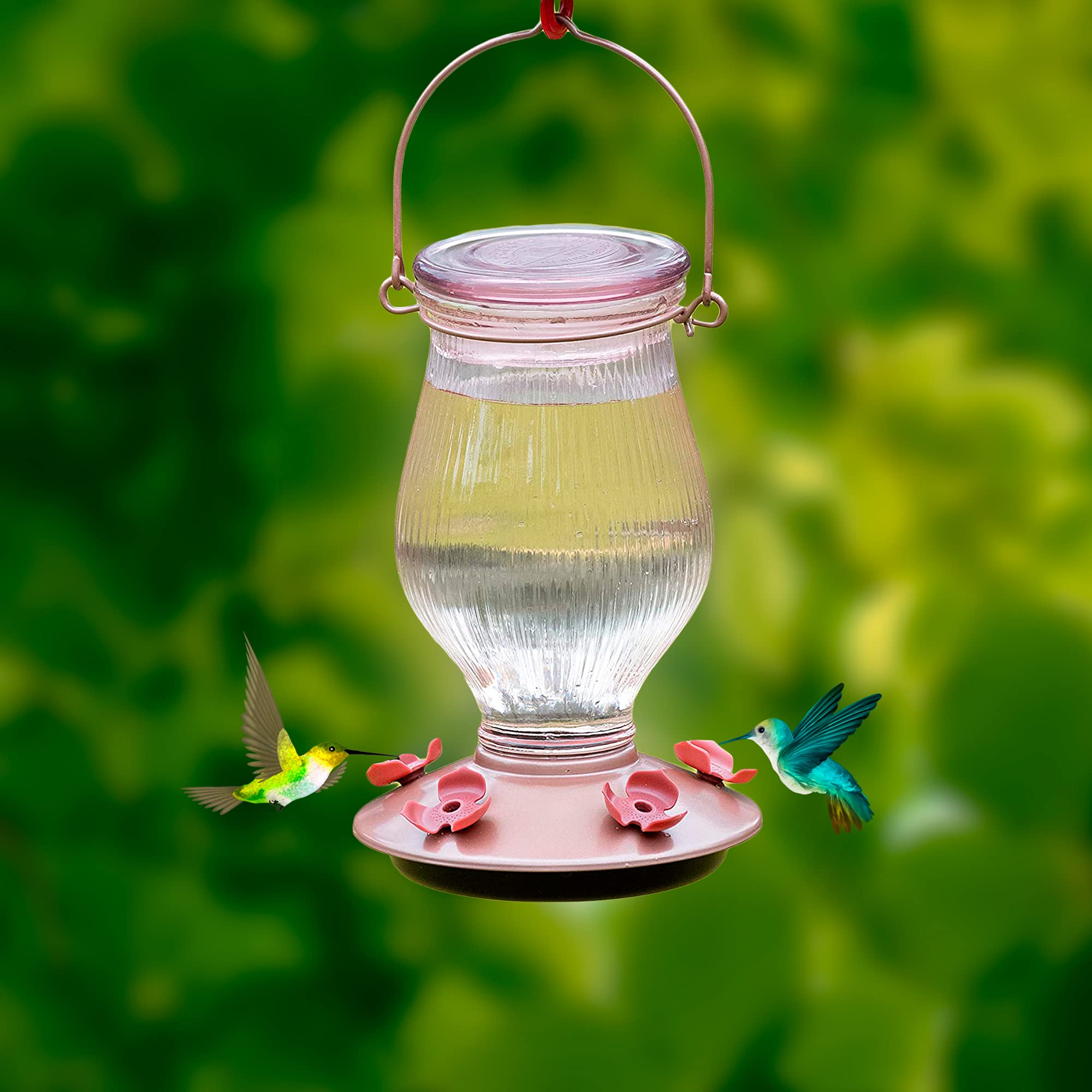 Amazon.co.jp: Perky-Pet Woodstream 9104-2 ハチドリ フィーダー