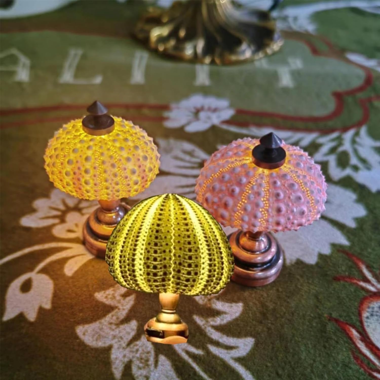 Amazon.com: HFLWYWD DIY Sea Urchin Night Light,Portable Sea Urchin