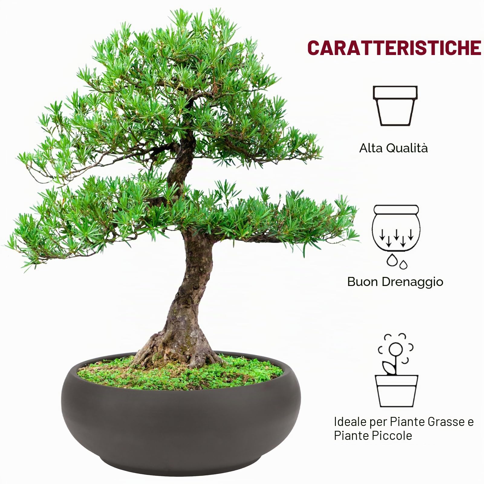 Vaso per bonsai da 15,2 a 20,3 cm, rotondo, in ceramica non smaltata, per piante grasse + schermo di drenaggio