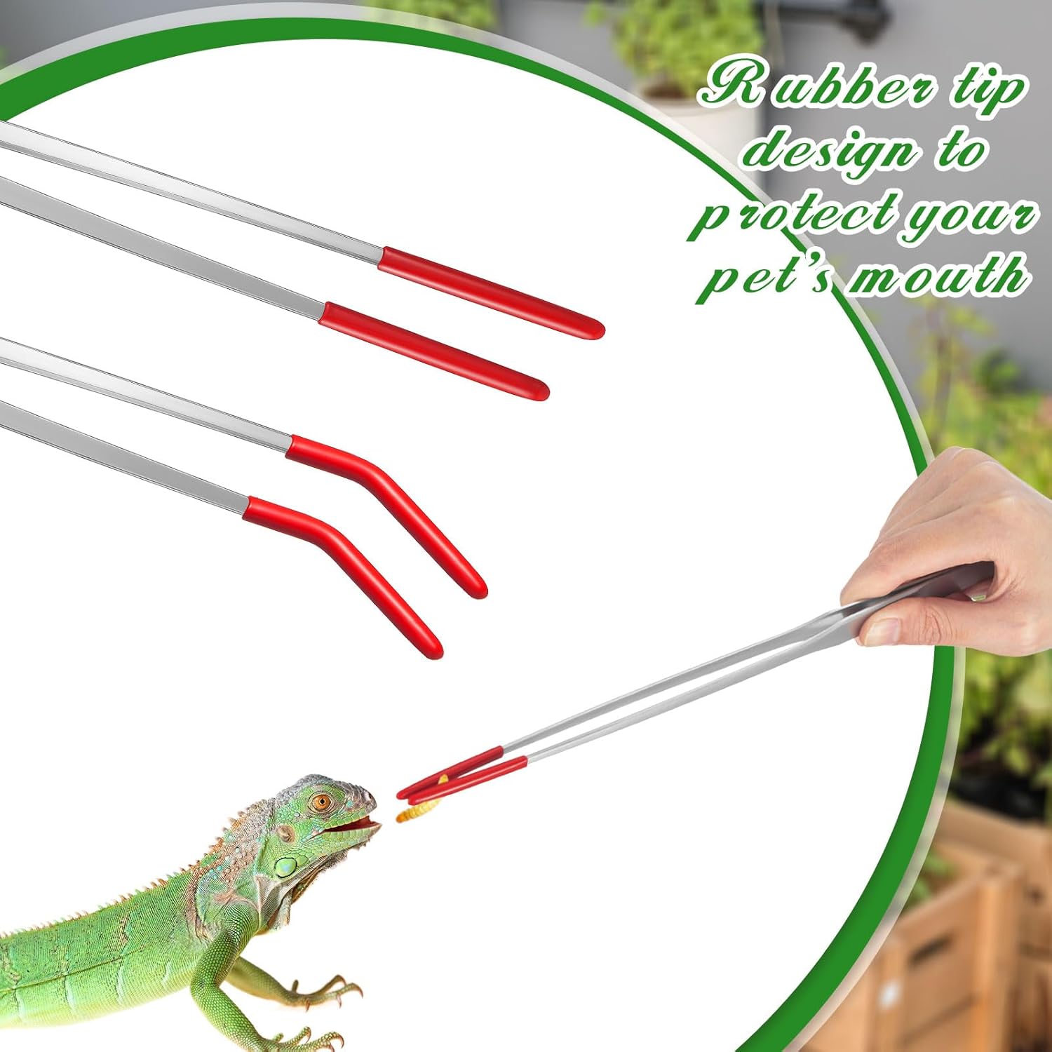 Lasnten 2 Pack Stainless Steel Reptile Feeding Tongs with Rubber Tip - 10.5" & 10" Extra Long Straight and Curved Tweezers with Storage Bag for Bearded Dragons Lizards Aquarium Terrarium Tank Supply thumbnail