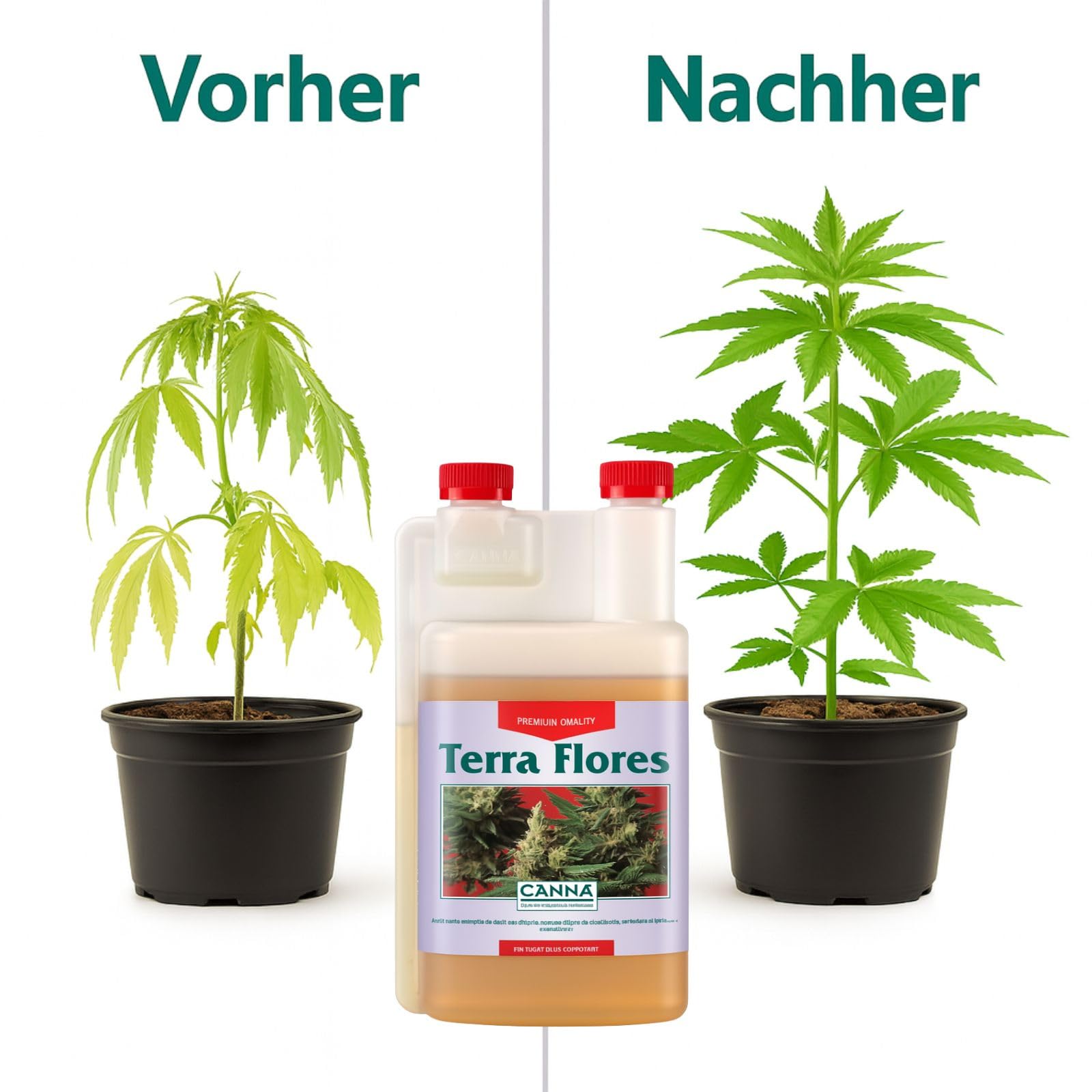 Weedness Canna Terra Flores 5 litrów – faza kwitnienia, uprawa w pomieszczeniach, kwiaty, nawóz bio-pomidorów, ogórków, nawóz organiczny