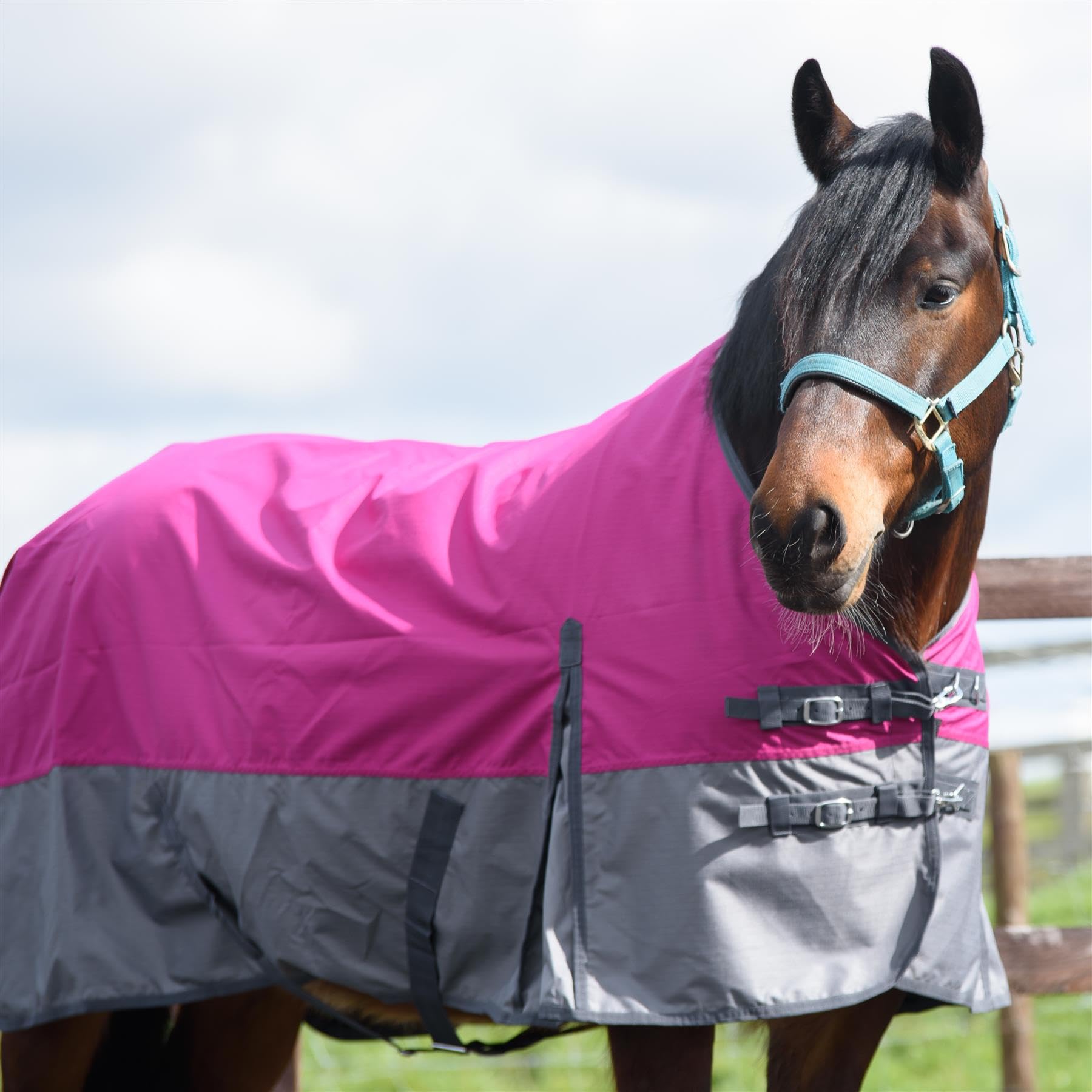 Outdoor Winterdecke Turnout 100% Wasserdicht 600D 100G Fulling - Raspberry/Grau 155cm