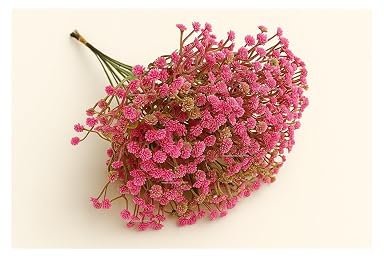 SPHINX Artificial Baby’s Breath Flower Sticks–Mini Gypsophila 5 Forks per Needle-Like Stem|29 cm Fillers for Vase,Wreath,Bouquet,Trousseau,Gift Inserts,DIY Decor,Gifting,Events- (20, Magenta)