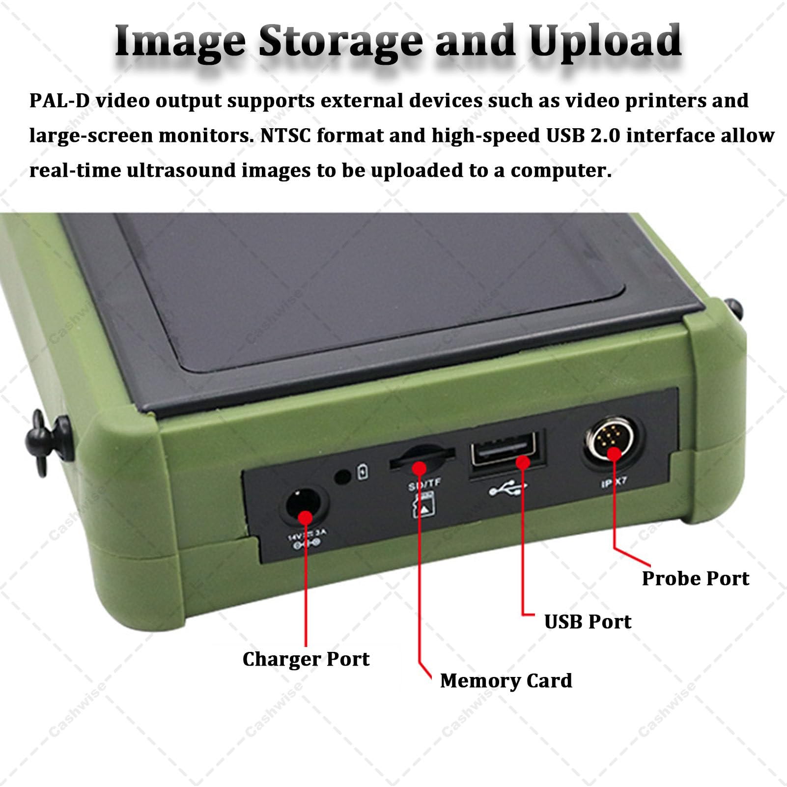 Scanner Portatile per Animali B-Ultrasound, diagnostica veterinaria della Gravidanza con sonda Convessa da 3,5 MHz, ecografo Veterinario per Pecore, Cani, Gatti e maiali.