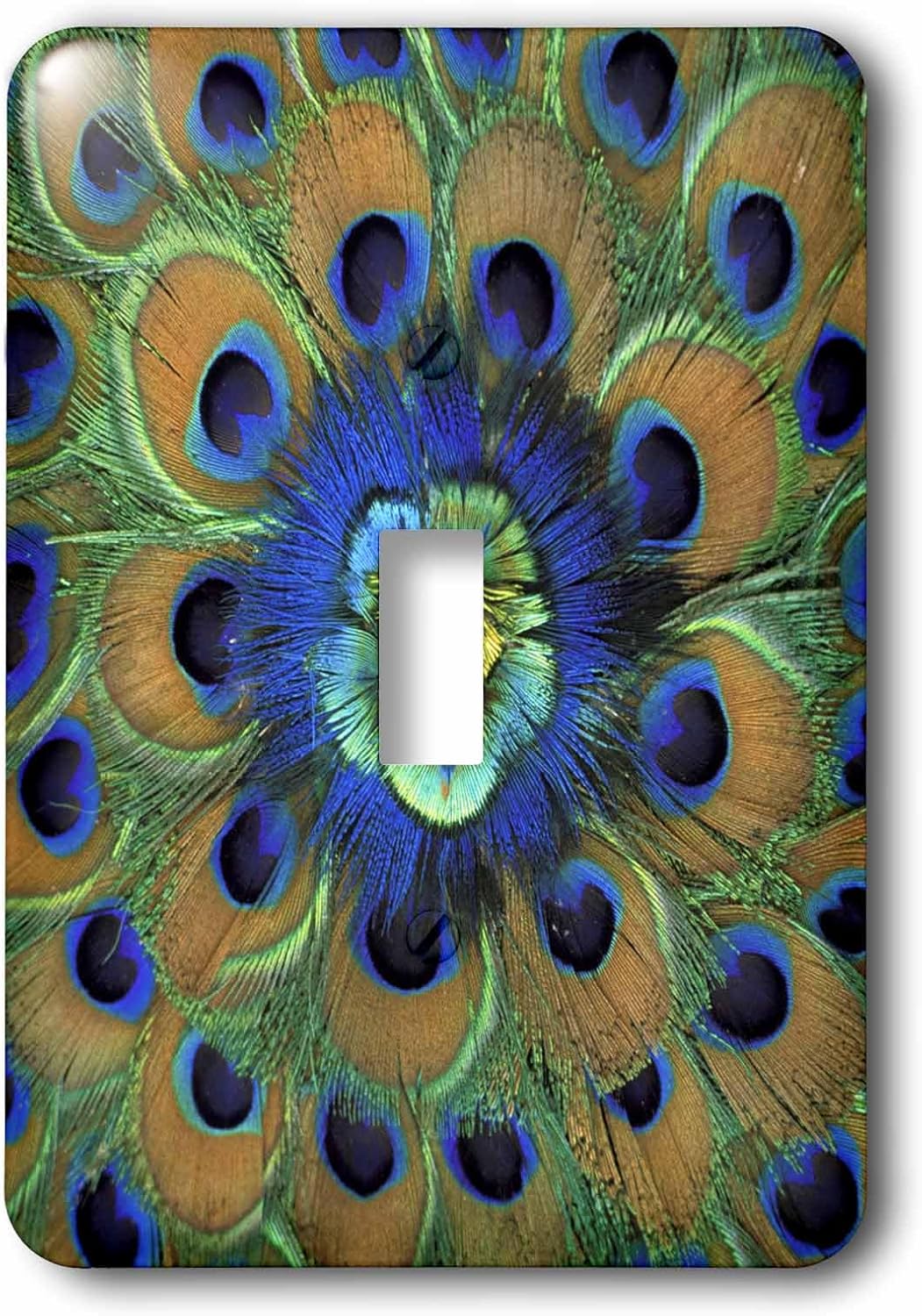 3dRose lsp_73909_1 Natural Peacock Feather Patterns, India-As10 Dfr0096 David R. Frazier Single Toggle Switch