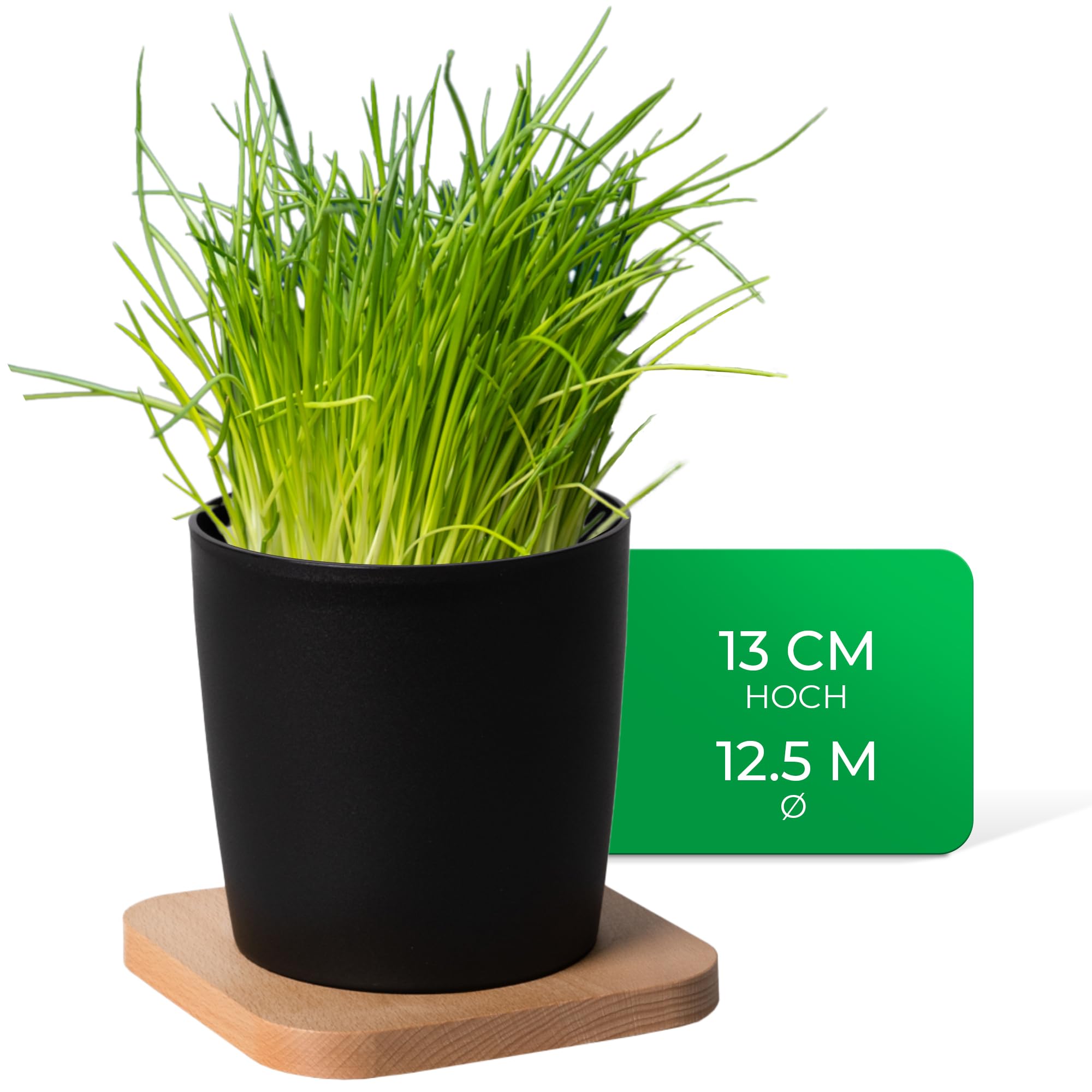 Novaliv Elegante set di 3 vasi per erbe aromatiche con base in legno per ogni davanzale, per erbe aromatiche fresche da cucina, per interni ed esterni, piante da appartamento, vaso per piante, vaso