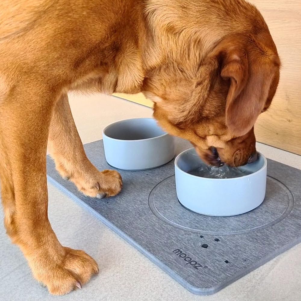 MOOPZ Tapis Animaux Diatomite + Gamelles Gris Brume