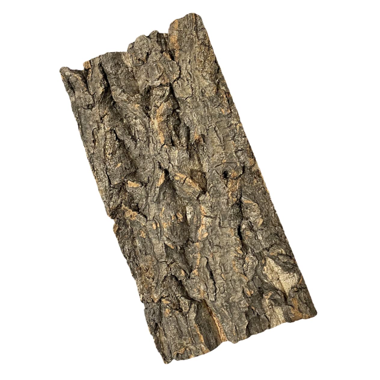 INOOMP 10piezas Fondo De Acuario Natural De Corteza Diseño Simulado para Decoración De Peceras y Terrarios Resistente y Reutilizable