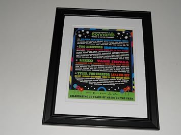 Framed Cancelled Bonnaroo 2021 Poster Foo Fighters, Lizzo, Lana Del Ray 14"x17"