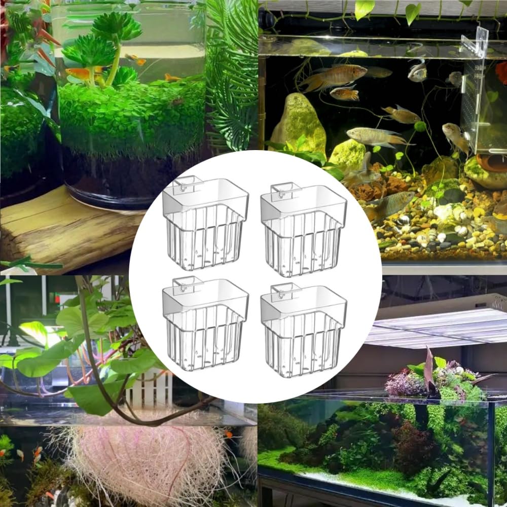 Lot de 4 supports de plantes d'aquarium en polypropylène transparent (PP), design suspendu avec trous de circulation de l'eau et installation facile, idéal pour les plantes d'eau douce et