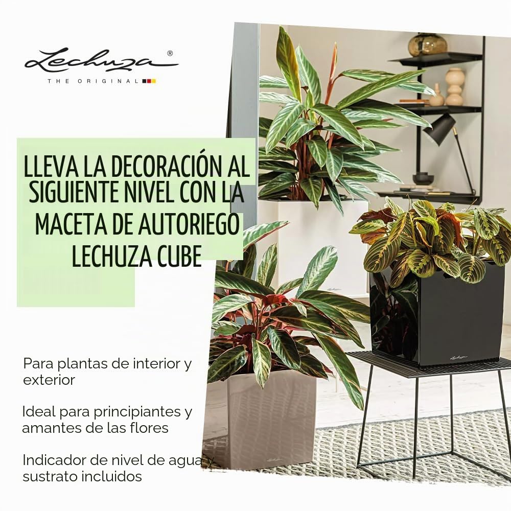 Lechuza Cube Premium 30 Blanco Brillante 16460