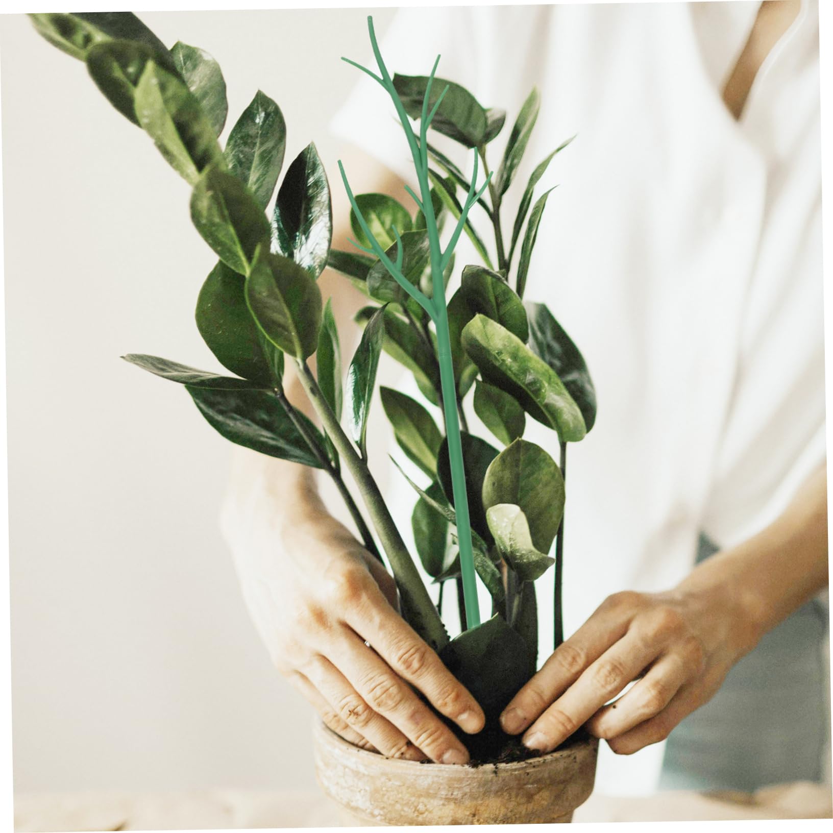 Tuteur De Plantes pour Usage Extérieur Et Intérieur 6 Pièces Treillis en Plastique pour Vignes Grimpantes Outil De Jardin pour Plantes en Pot