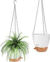 Vista 1 de GARDIFE maceta colgante, macetas colgantes de 8 pulgadas para plantas de interior y exterior, maceta con riego automático, paquete de 2 macetas