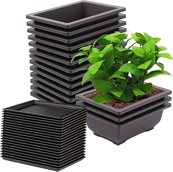 15 PCS 6.5 Inch Bonsai Training Pots with Trays, Rectangular Plastic Growing Pots, Flower Succulent Pots Container for Garden, Yard, Office, Porch, Balcony, Home Decoration