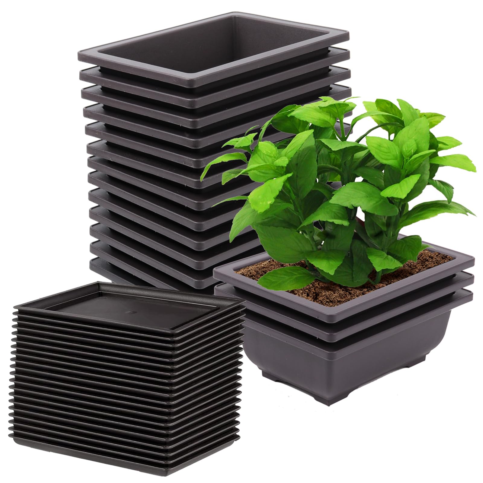 Lot de 15 pots rectangulaires en plastique pour bonsaï - 16,5 cm