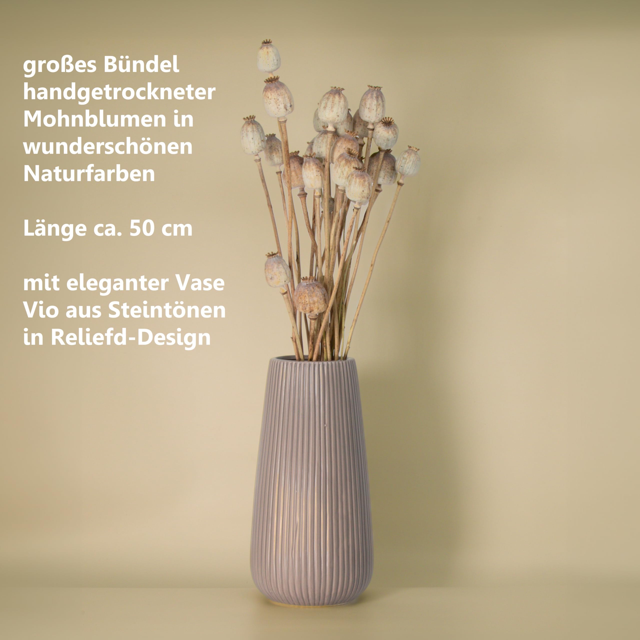 Trockenblumen Feldstrauß Mohnblumen – Handgebundener Trockenblumenstrauß – mit wunderschöner Vase VIO – Tolle Blumen Strauß Dekoration, ewig haltbar Blumenliebhaber