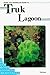 Diving and Snorkeling Guide to Truk Lagoon (Lonely Planet Diving and Snorkeling Guides)
