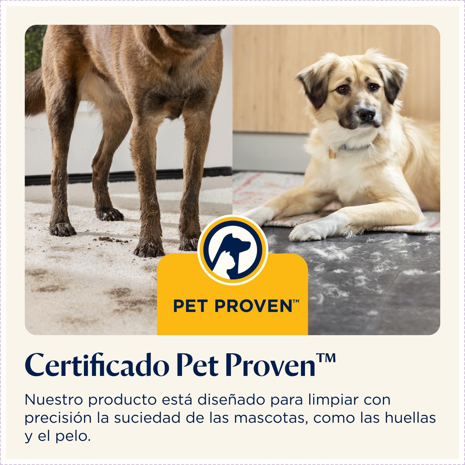 BISSELL CrossWave Edge, aspiradora de mano en seco y húmedo, limpieza potente de suciedad de mascotas, aspiradora en húmedo con tecnología ZeroGap, aspiradora para fregar, multisuperficie, 4088N