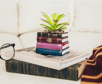 Harry Potter Book Stack 3-Inch Ceramic Planter with Artificial Succulent | Small Flower Pot, Faux Indoor Plant for Desk Shelf, Trinket Tray | Cute Home Decor, Wizarding World Gifts and Collectibles