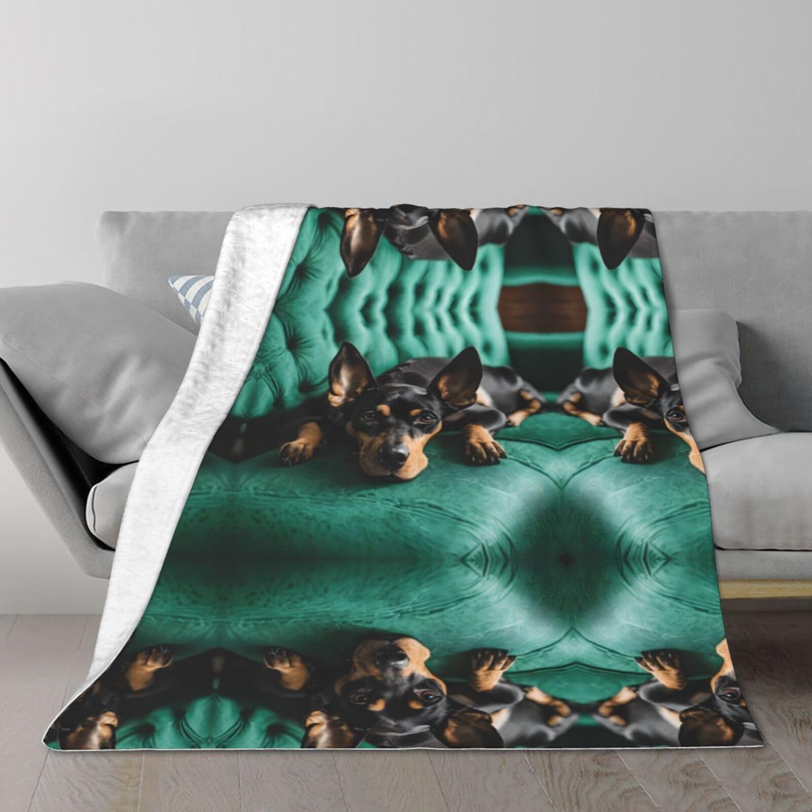 Couverture peluche teckel douce et compacte de dimensions 203x152 cm