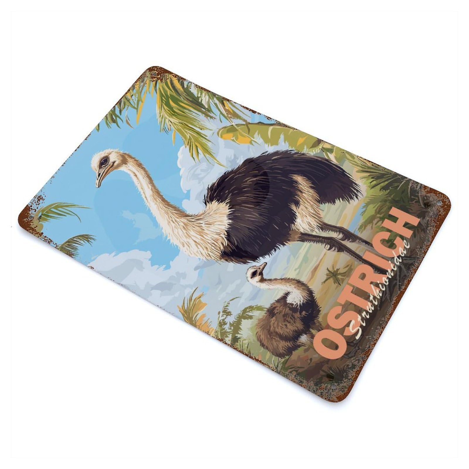 Ostrich Illustration Rust Effect Tin Sign 11.8"x7.9", Farmhouse Wall Decor for Farmhouse, Kitchen And Entryway Decor