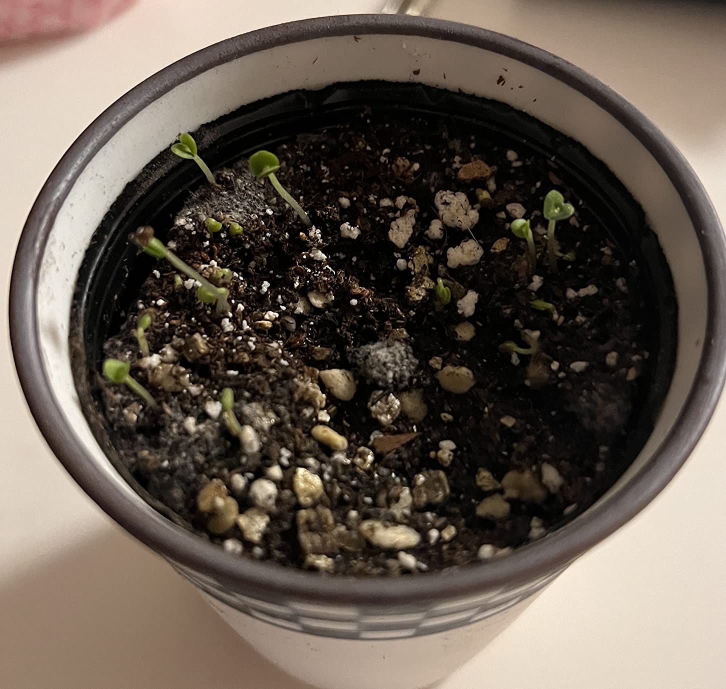 お客様イメージ