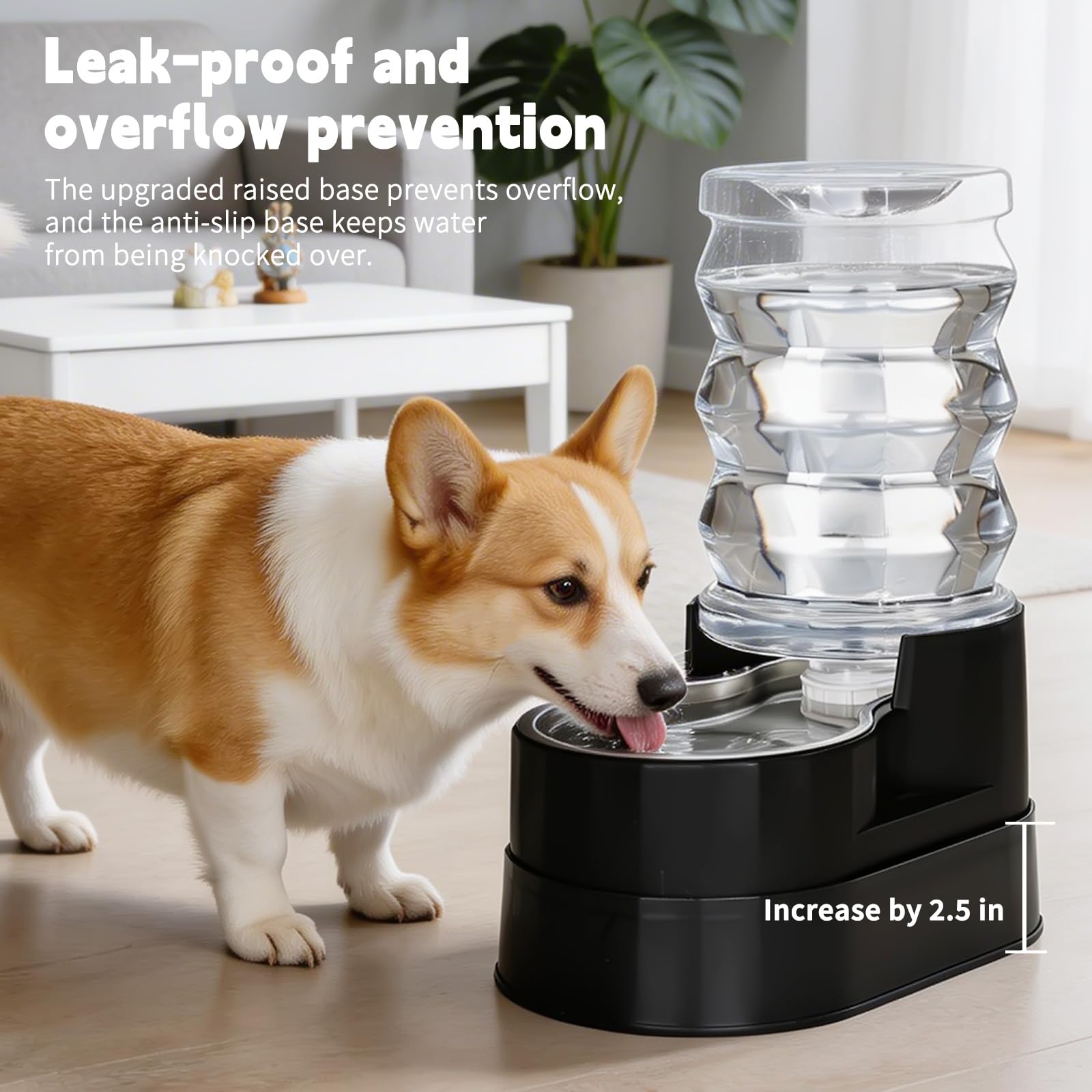 RIZZARI Mangiatoia per acqua in acciaio inox: 7 l, nero, grande capacità e dispenser automatico a gravità, design anti-fuoriuscita per cani anziani con problemi alla colonna vertebrale, uso in garage