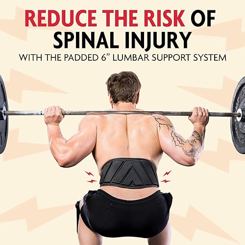 Miniatura 2 de DMoose Fitness Cinturón de levantamiento de pesas, cómodo soporte lumbar y de espalda, cinturón de peso con bloqueo automático para mantener el