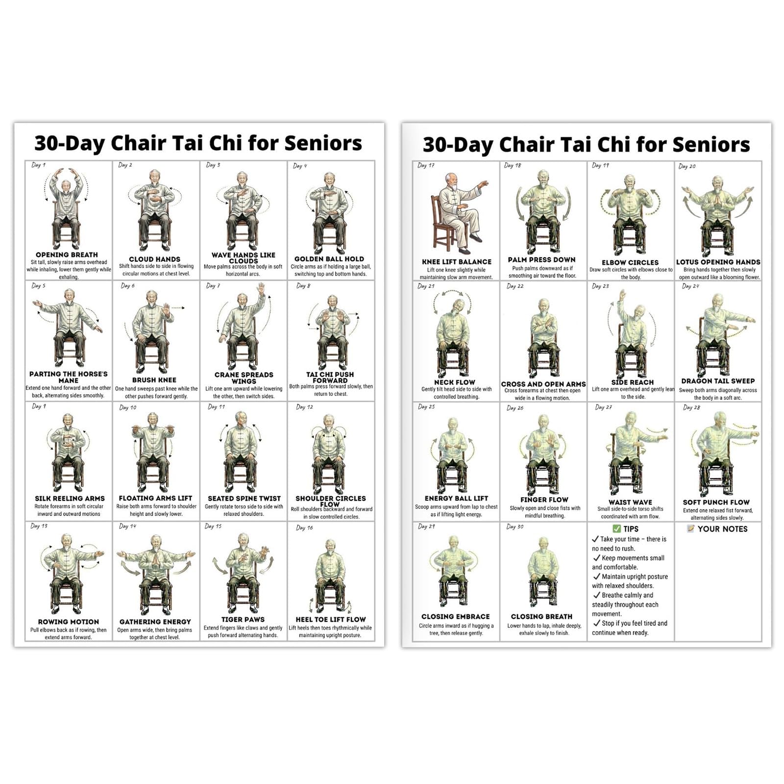 Tai Chi Chair Workout Chart, Chair Tai Chi for Seniors Wall Chart – 30-Day Seated Tai Chi Routine, Seated Exercise Poster for Beginners, Home Gym Decor, Unframed 2-Pack (10x8 Inch) - 2