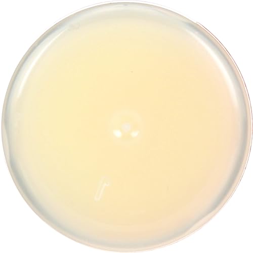 Miniatura 10 de Mongo beso Blood Orange Eco Lips 25Bálsamo de Labios Banana, Blood Orange, Yumberry