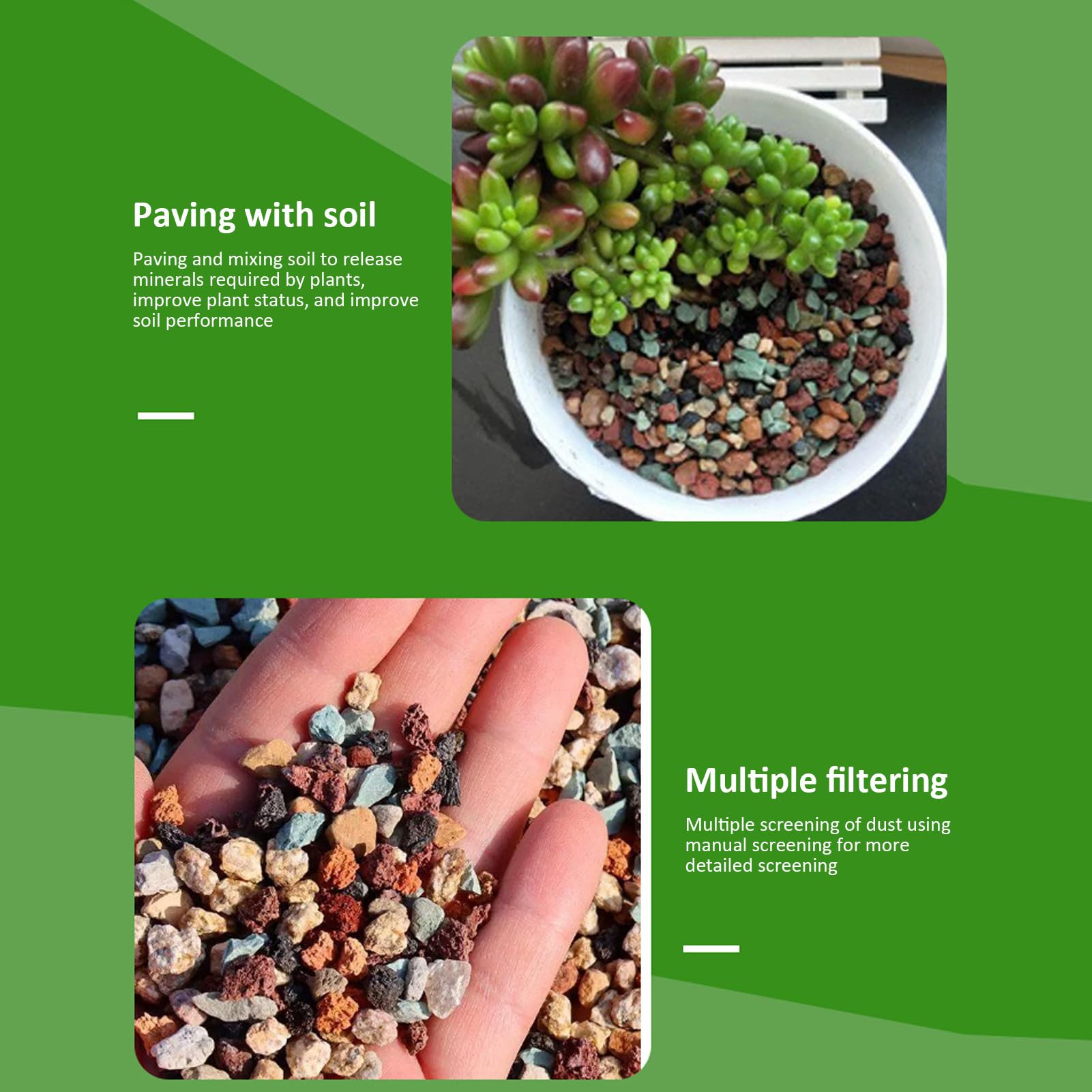 Amazon.co.jp: サボテンプランター用石,サボテンの多肉植物の健康な