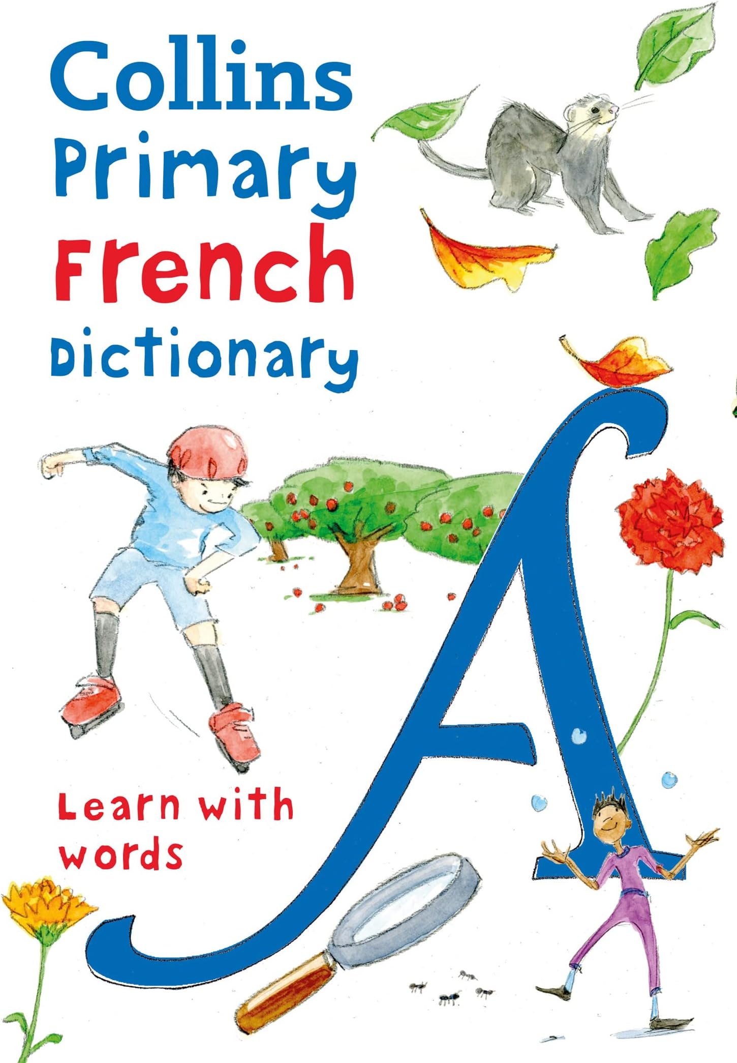 Primary French Dictionary: Illustrated Dictionary for Ages 7+