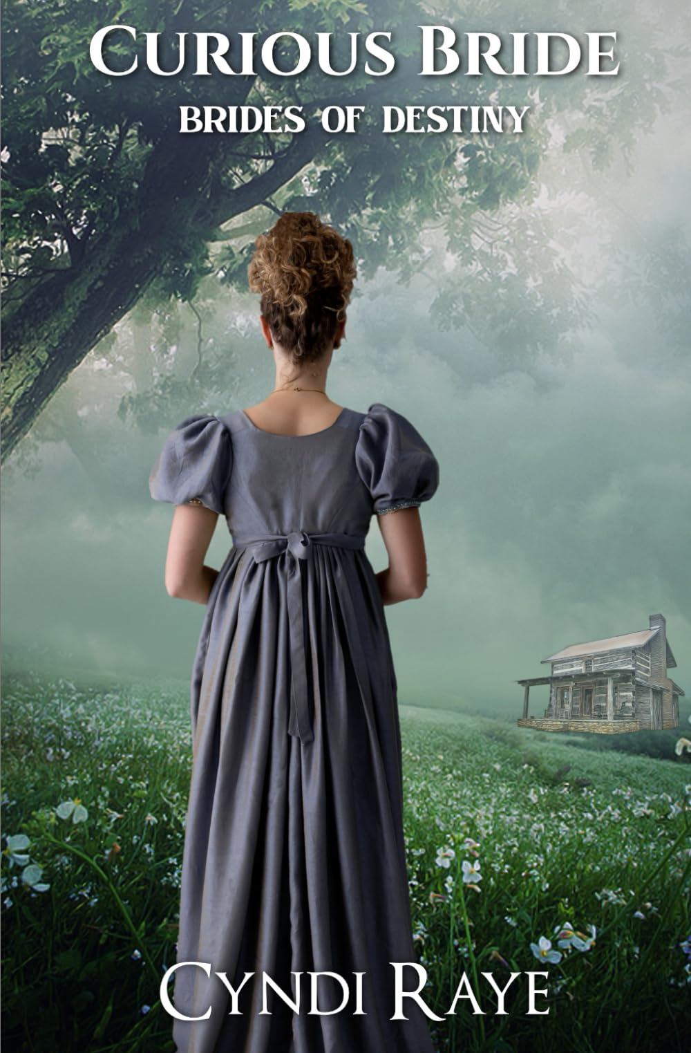 Curious Bride: Brides of Destiny Book 3