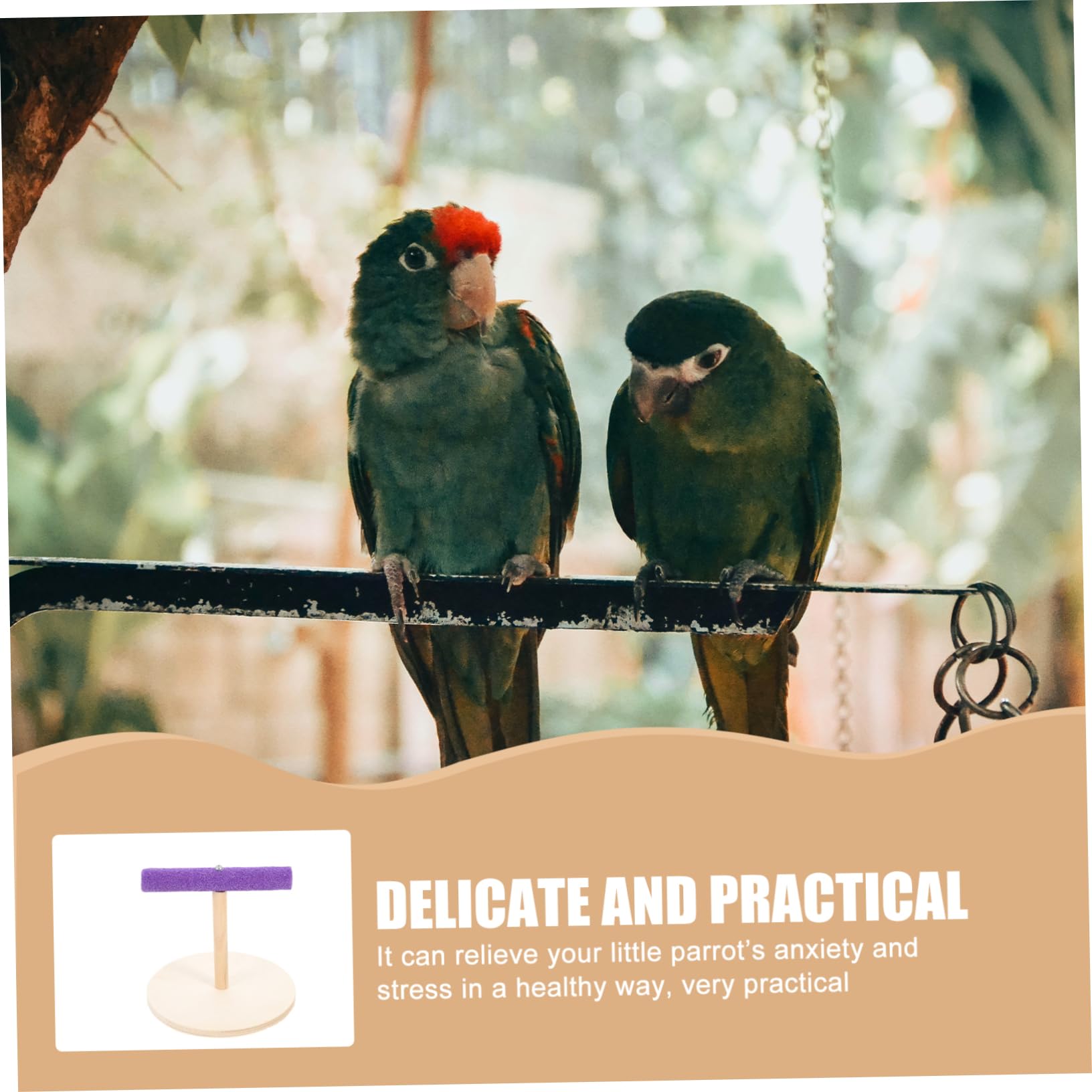 POPETPOP 5piezas Percha De Madera para Periquitos y Aves Pequeñas Juguete Interactivo De Oficina Diseño Seguro y Creativo para Aves Estilo Chic y Decorativo para Crear Cálidos