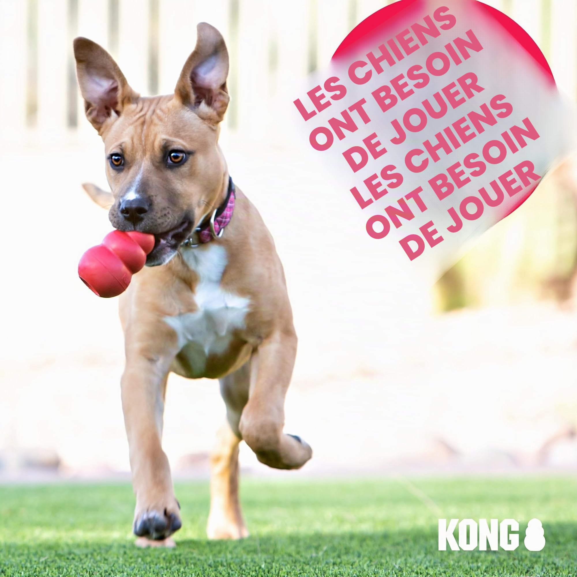 KONG Company 38750943: Jumbler Tug Dog Toy, Sm/Md