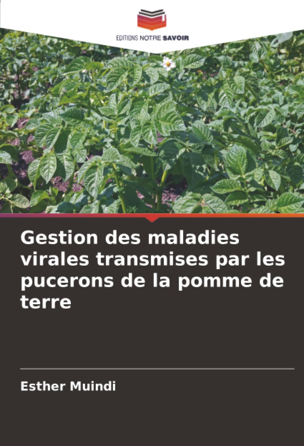 Gestion des maladies virales transmises par les pucerons de la pomme de terre